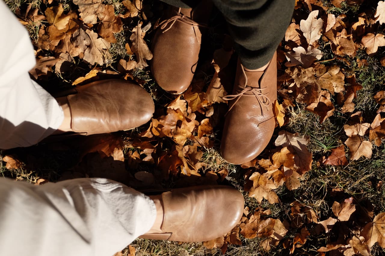 earthing harmony shoes